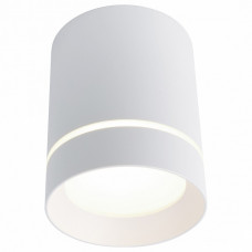 Потолочный светильник Arte Lamp  A1909PL-1WH