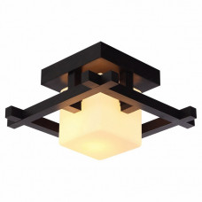 Настенно-потолочный Arte Lamp Woods A8252PL-1CK